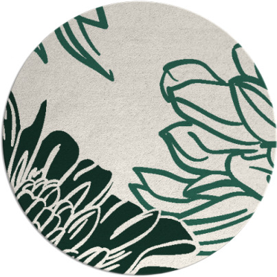 asha rug - item 657775