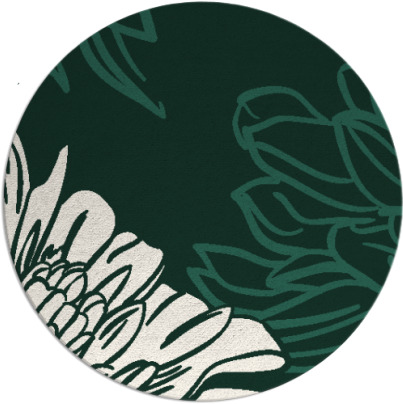 asha rug - item 657776