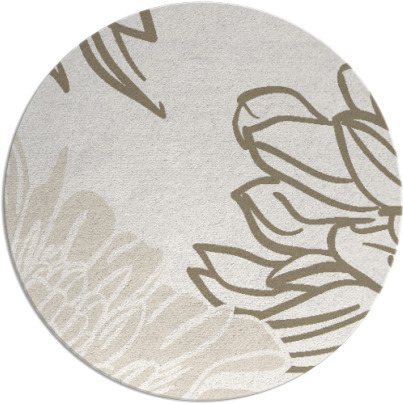 asha rug - item 657783