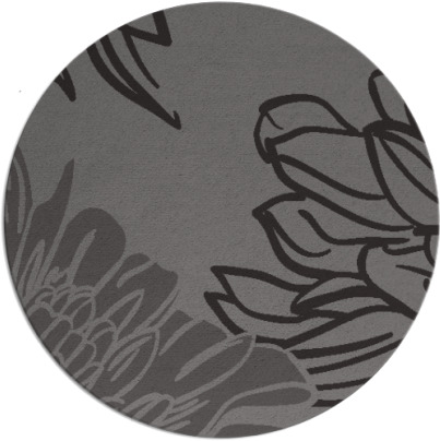 asha rug - item 657789