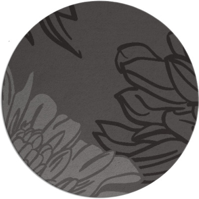 asha rug - item 657790