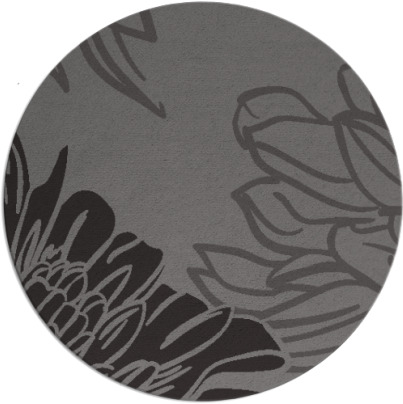 asha rug - item 657791