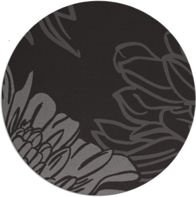 asha rug - item 657792