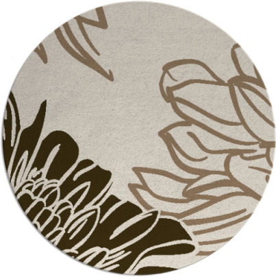 asha rug - item 657795