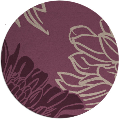 asha rug - item 657804