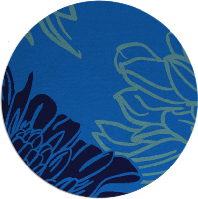 asha rug - item 657810