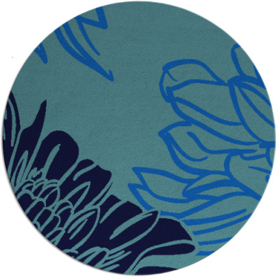 asha rug - item 657812