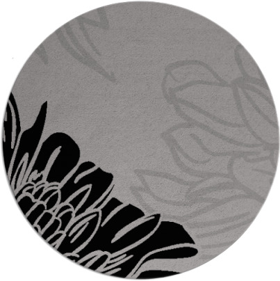 asha rug - item 657814