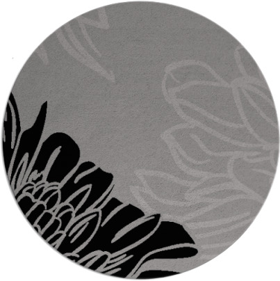 asha rug - item 657816