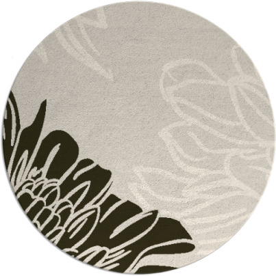 asha rug - item 657818