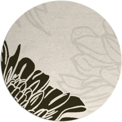 asha rug - item 657820