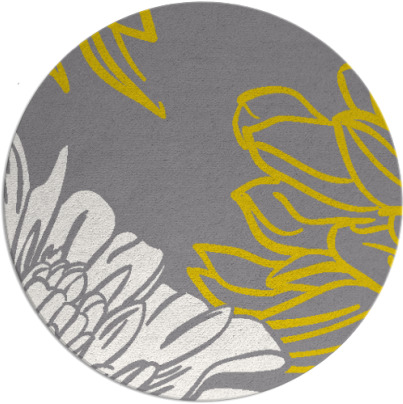 asha rug - item 657826