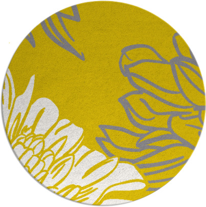 asha rug - item 657828