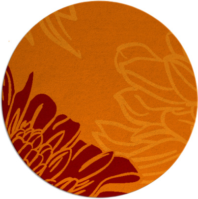 asha rug - item 657830