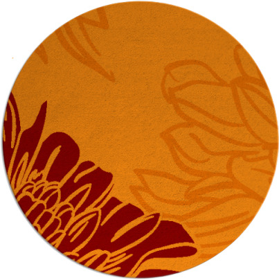 asha rug - item 657832