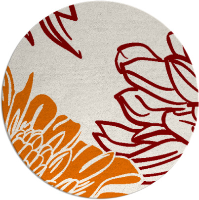 asha rug - item 657833