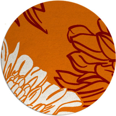 asha rug - item 657834