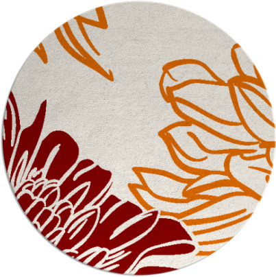 asha rug - item 657835