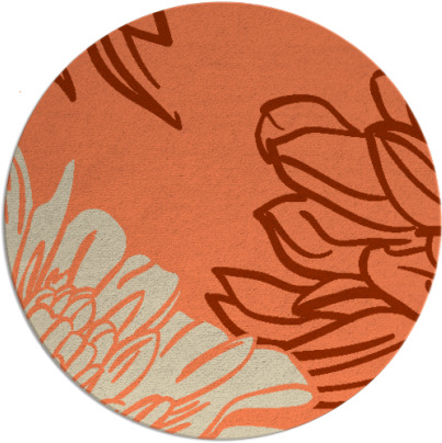 asha rug - item 657838