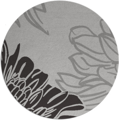 asha rug - item 657841