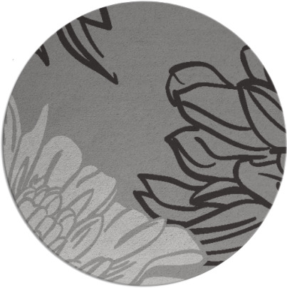 asha rug - item 657844