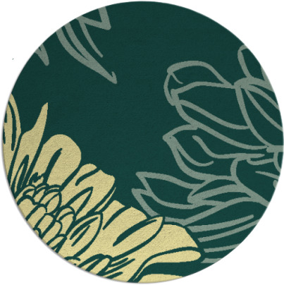 asha rug - item 657845