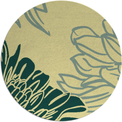 asha rug - item 657846