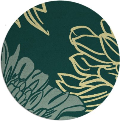 asha rug - item 657847