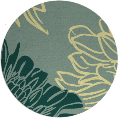 asha rug - item 657848