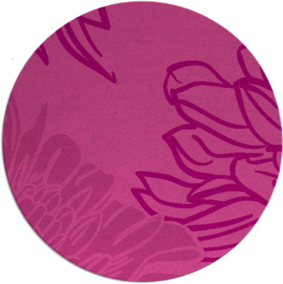 asha rug - item 657851