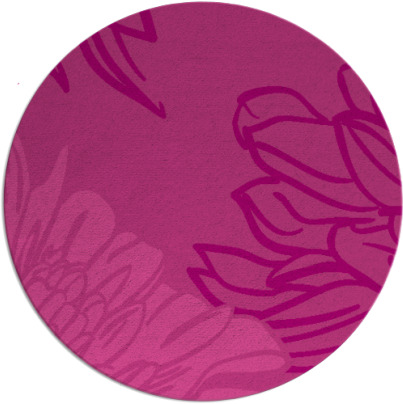 asha rug - item 657852