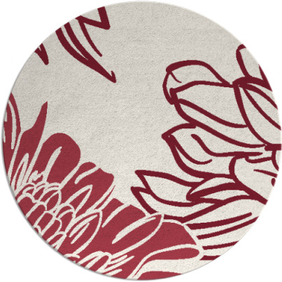 asha rug - item 657855