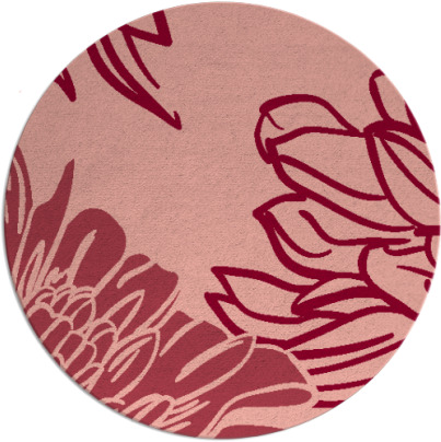 asha rug - item 657857