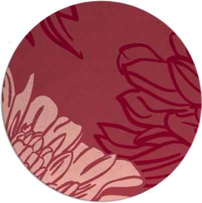 asha rug - item 657858