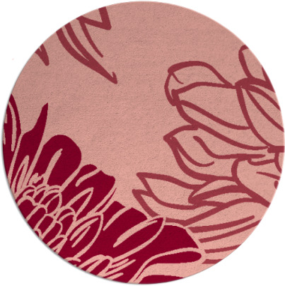 asha rug - item 657859