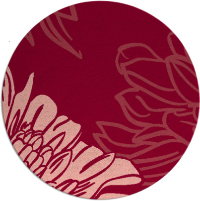 asha rug - item 657860