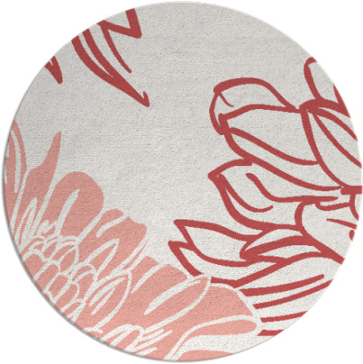 asha rug - item 657861