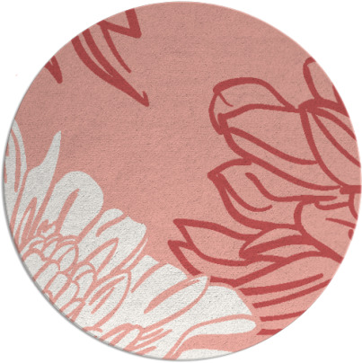 asha rug - item 657862