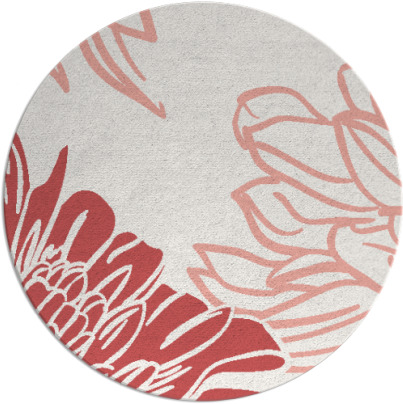 asha rug - item 657863