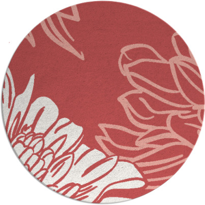 asha rug - item 657864