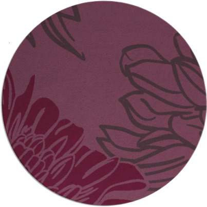 asha rug - item 657867