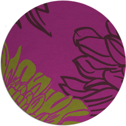 asha rug - item 657872