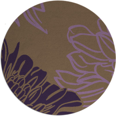 asha rug - item 657873