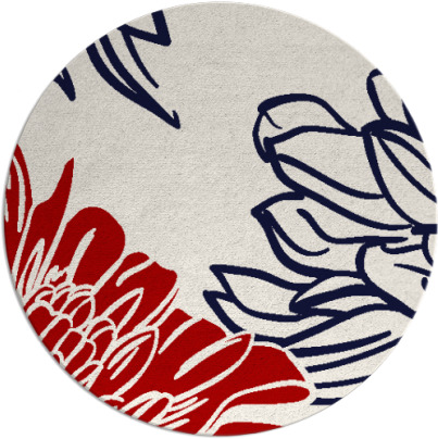 asha rug - item 657881