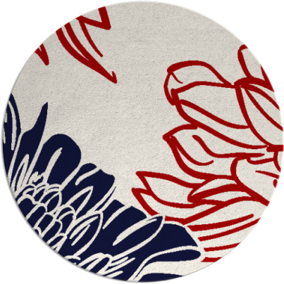 asha rug - item 657883