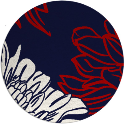 asha rug - item 657884