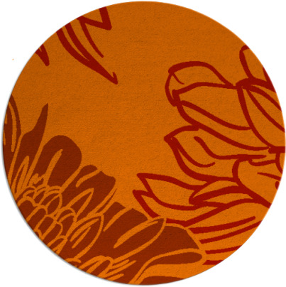 asha rug - item 657887