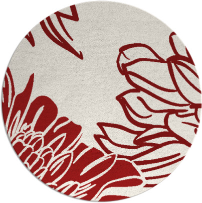 asha rug - item 657889