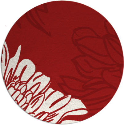 asha rug - item 657890