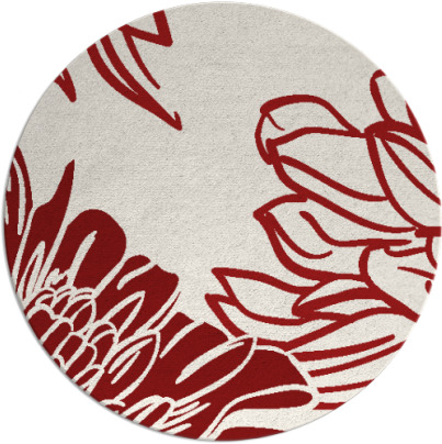 asha rug - item 657891